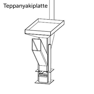 Teppanyakiplatte_Modul.jpg